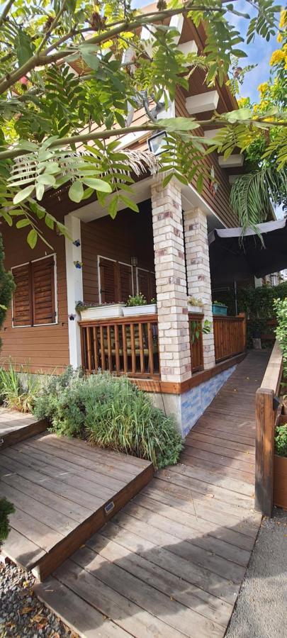 Reshafim The Butterflies Wood House 빌라 외부 사진