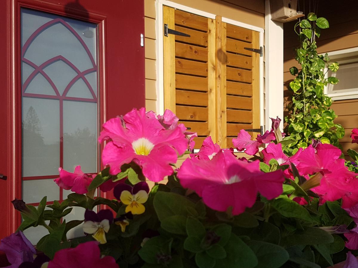 Reshafim The Butterflies Wood House 빌라 외부 사진