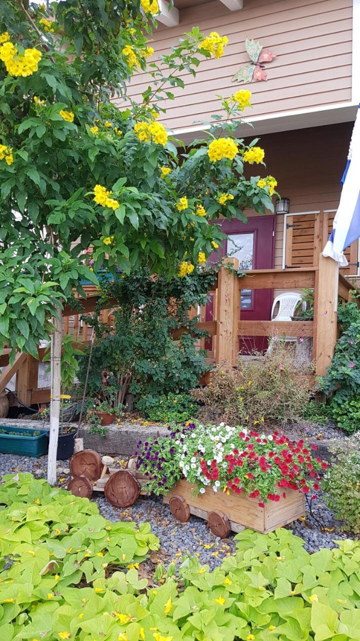 Reshafim The Butterflies Wood House 빌라 외부 사진